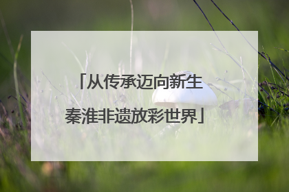 从传承迈向新生 秦淮非遗放彩世界