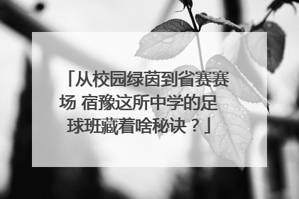 从校园绿茵到省赛赛场 宿豫这所中学的足球班藏着啥秘诀？