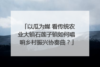 以瓜为媒 看传统农业大镇石莲子镇如何唱响乡村振兴协奏曲？