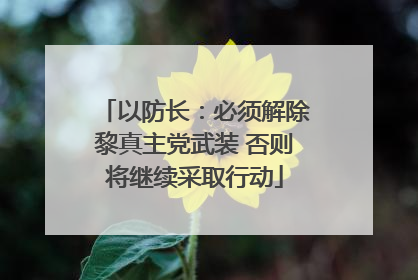 以防长：必须解除黎真主党武装 否则将继续采取行动