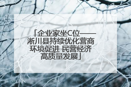 企业家坐C位——淅川县持续优化营商环境促进 民营经济高质量发展
