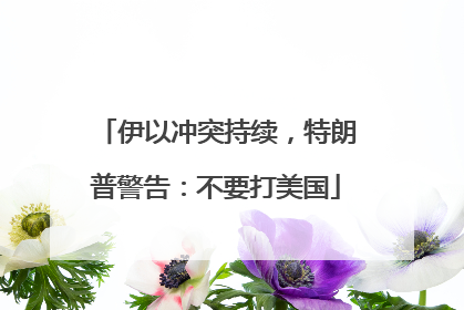 伊以冲突持续，特朗普警告：不要打美国