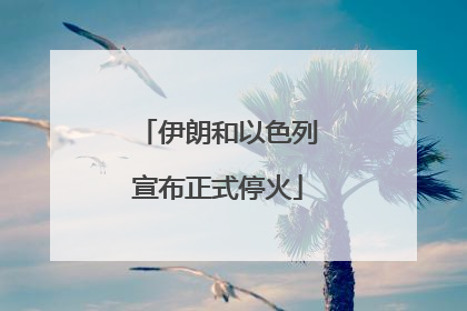 伊朗和以色列宣布正式停火