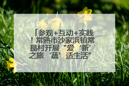 参观+互动+实践！常熟市沙家浜镇常昆村开展“爱‘新’之旅‘蔬’适生活”参观学习活动