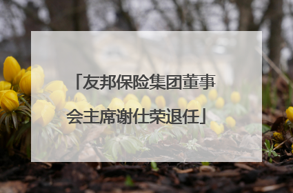 友邦保险集团董事会主席谢仕荣退任