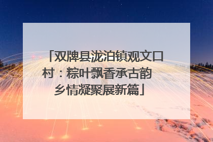 双牌县泷泊镇观文口村：粽叶飘香承古韵 乡情凝聚展新篇