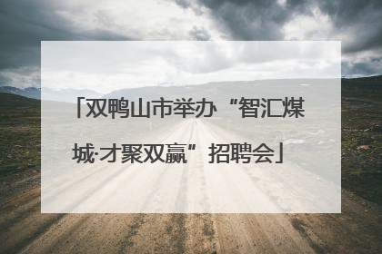 双鸭山市举办“智汇煤城·才聚双赢”招聘会