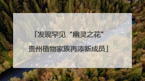 发现罕见“幽灵之花” 贵州植物家族再添新成员