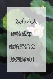 发布六大硬核成果 廊坊经洽会热潮涌动