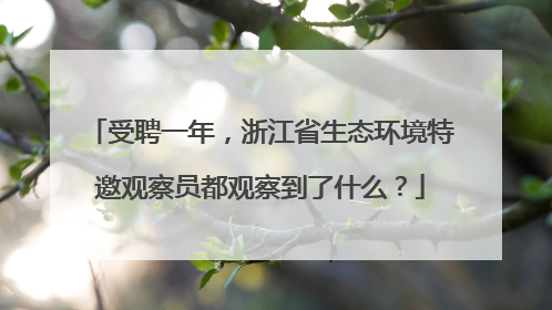 受聘一年，浙江省生态环境特邀观察员都观察到了什么？