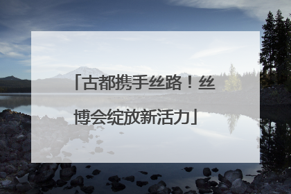 古都携手丝路！丝博会绽放新活力