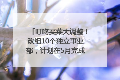 叮咚买菜大调整！改组10个独立事业部，计划在5月完成App端全面改版