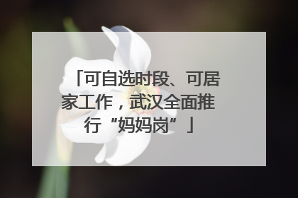 可自选时段、可居家工作，武汉全面推行“妈妈岗”