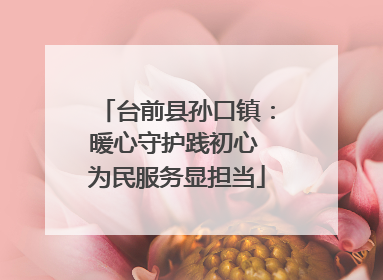 台前县孙口镇：暖心守护践初心 为民服务显担当