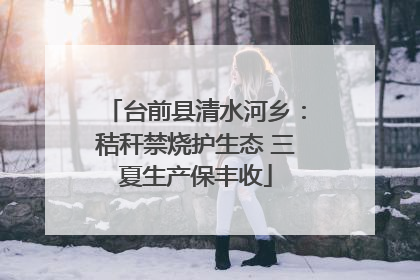 台前县清水河乡：秸秆禁烧护生态 三夏生产保丰收