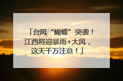 台风“蝴蝶”突袭！江西将迎暴雨+大风，这天千万注意！