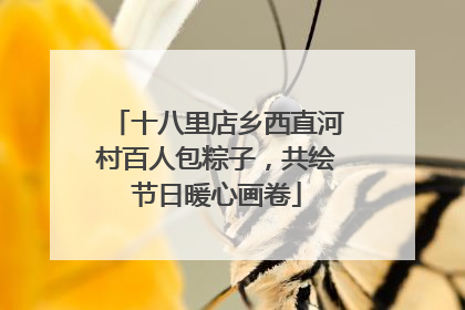 十八里店乡西直河村百人包粽子，共绘节日暖心画卷