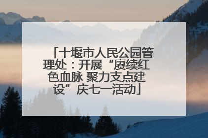 十堰市人民公园管理处：开展“赓续红色血脉 聚力支点建设”庆七一活动