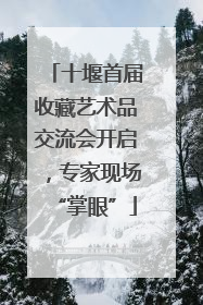 十堰首届收藏艺术品交流会开启，专家现场“掌眼”