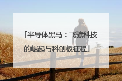 半导体黑马：飞骧科技的崛起与科创板征程