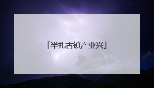 半扎古镇产业兴