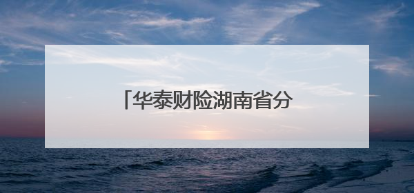 华泰财险湖南省分公司积极开展防范非法金融宣传月活动