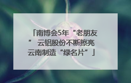 南博会5年“老朋友” 云铝股份不断擦亮云南制造“绿名片”