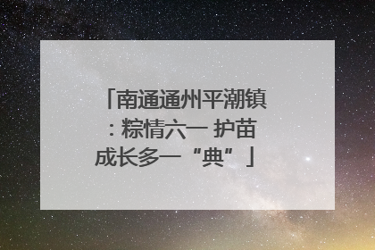 南通通州平潮镇：粽情六一 护苗成长多一“典”