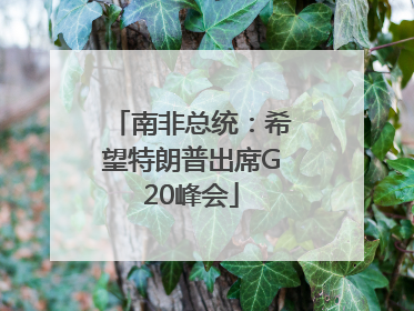 南非总统：希望特朗普出席G20峰会