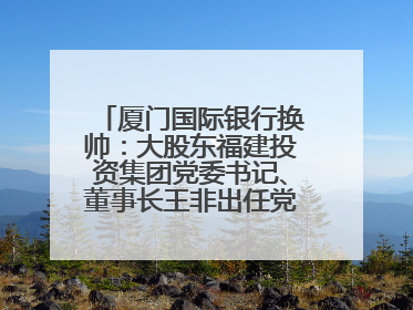 厦门国际银行换帅：大股东福建投资集团党委书记、董事长王非出任党委书记