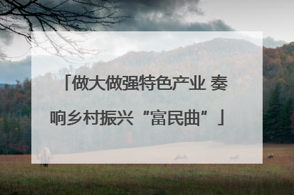 做大做强特色产业 奏响乡村振兴“富民曲”