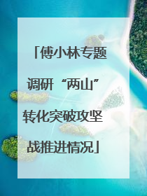 傅小林专题调研“两山”转化突破攻坚战推进情况
