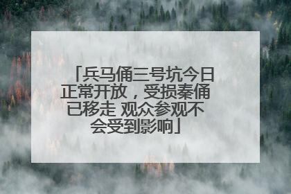 兵马俑三号坑今日正常开放，受损秦俑已移走 观众参观不会受到影响