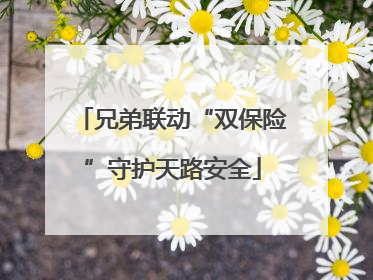 兄弟联动“双保险”守护天路安全