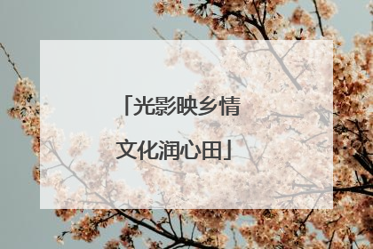 光影映乡情 文化润心田