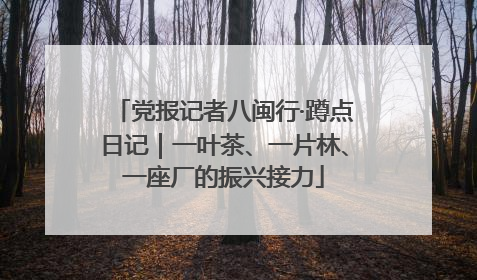 党报记者八闽行·蹲点日记｜一叶茶、一片林、一座厂的振兴接力