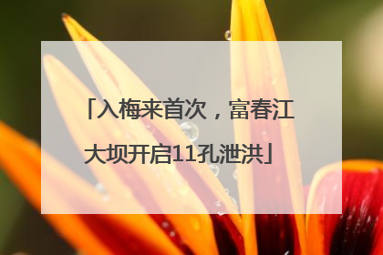 入梅来首次，富春江大坝开启11孔泄洪
