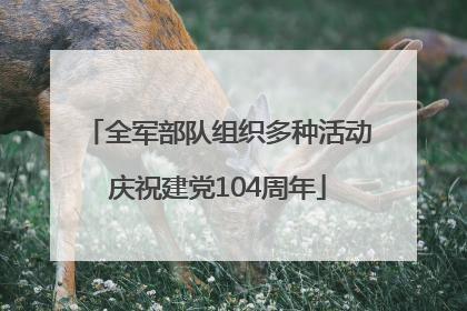 全军部队组织多种活动庆祝建党104周年