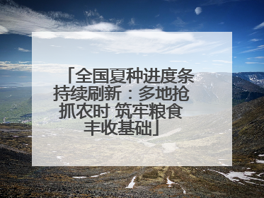 全国夏种进度条持续刷新：多地抢抓农时 筑牢粮食丰收基础