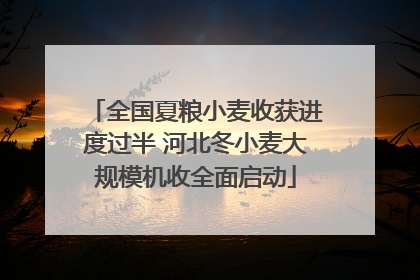 全国夏粮小麦收获进度过半 河北冬小麦大规模机收全面启动