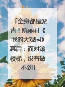 全身都是淤青！陈丽君《我的大观园》幕后：面对滚楼梯，没有做不到