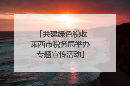 共建绿色税收 莱西市税务局举办专题宣传活动
