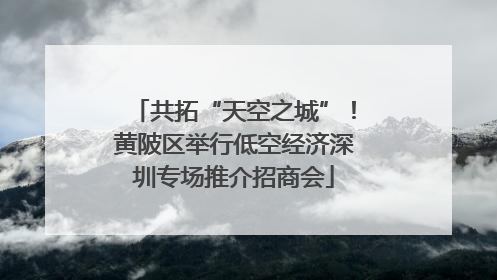 共拓“天空之城”！黄陂区举行低空经济深圳专场推介招商会