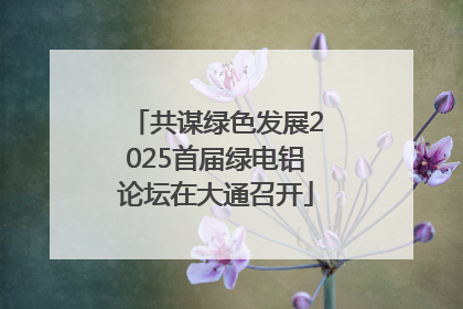 共谋绿色发展2025首届绿电铝论坛在大通召开
