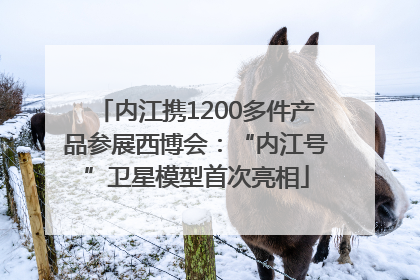 内江携1200多件产品参展西博会：“内江号”卫星模型首次亮相
