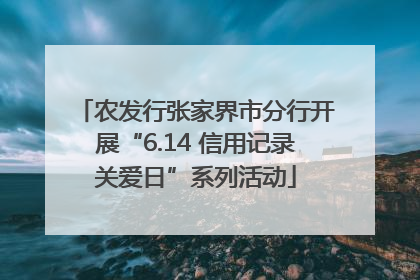 农发行张家界市分行开展“6.14 信用记录关爱日”系列活动