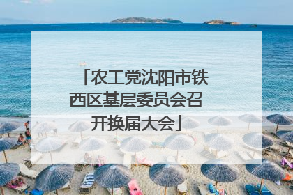农工党沈阳市铁西区基层委员会召开换届大会