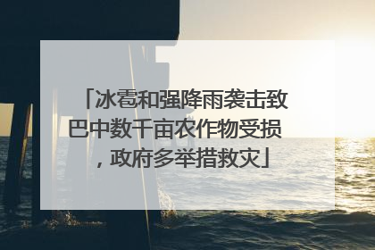 冰雹和强降雨袭击致巴中数千亩农作物受损，政府多举措救灾