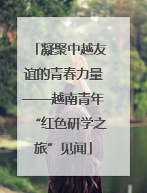 凝聚中越友谊的青春力量——越南青年“红色研学之旅”见闻