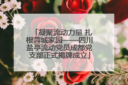 凝聚流动力量 扎根蓉城家园——四川盐亭流动党员成都党支部正式揭牌成立